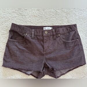 Carve Designs purple Shorts